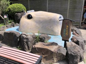 伊豆シャボテン公園カピバラ温泉