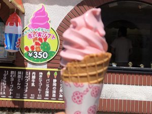 伊豆シャボテン公園ソフトクリーム