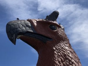 伊豆シャボテン公園鳥3