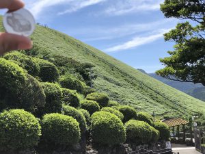 シャボテン公園大室山