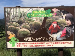シャボテン公園割引