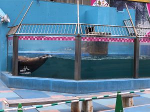 伊勢志摩シーパラダイストド
