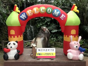 伊勢シーパラダイス画像