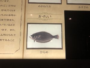 かごしま水族館