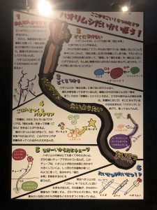 かごしま水族館 ハオリムシ