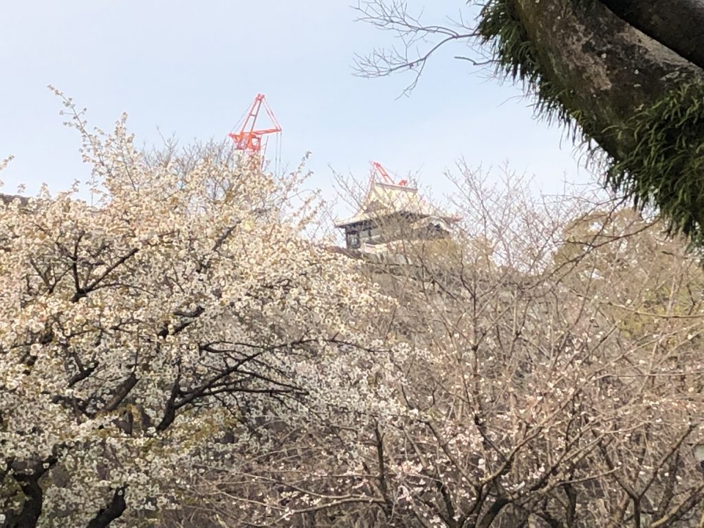 熊本城　復旧作業の様子