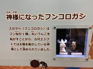 長崎ペンギン水族館