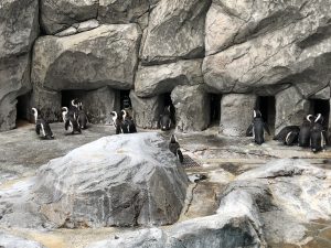 長崎ペンギン水族館