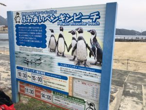 長崎ペンギン水族館 ふれあいビーチ