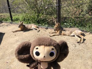 長崎バイオパーク