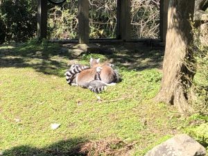 長崎バイオパーク