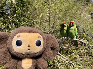 長崎バイオパーク