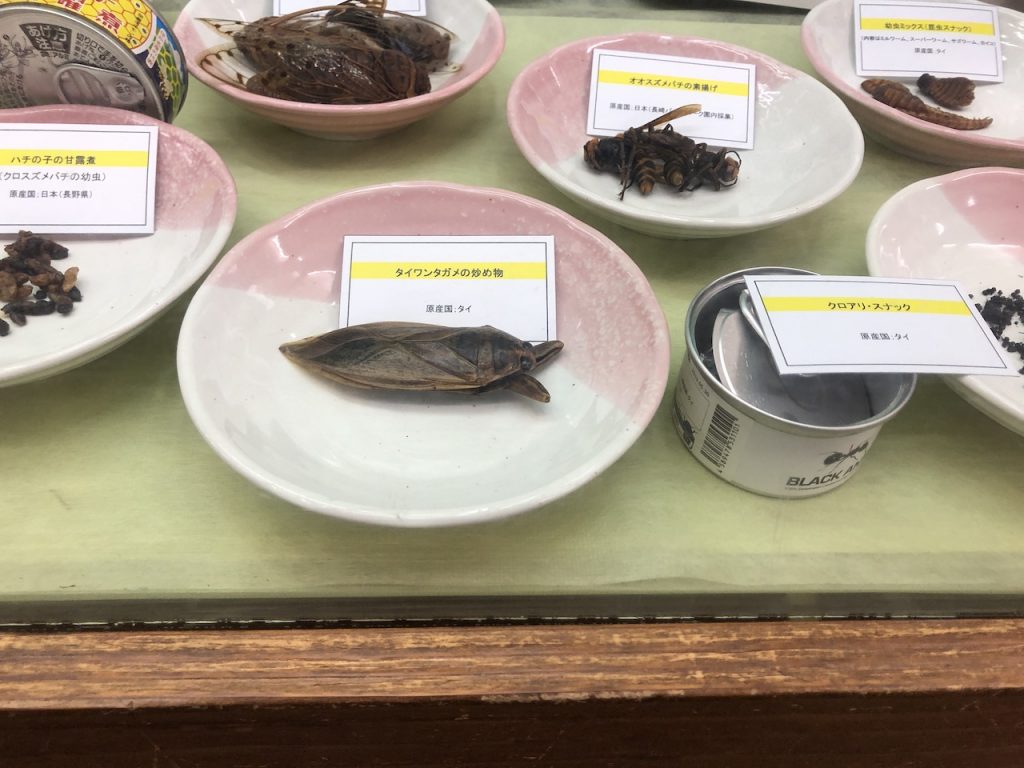 長崎バイオパーク　食べられる昆虫展