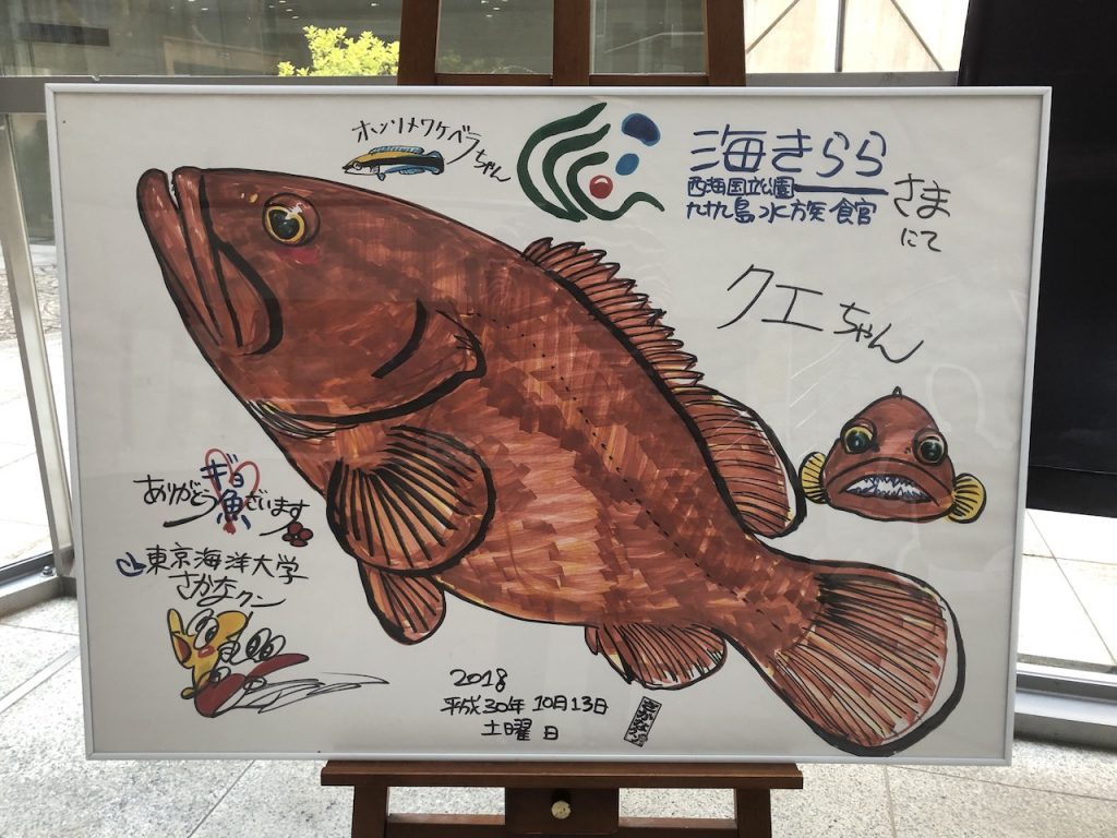 九十九島水族館海きららさかなクンイラスト