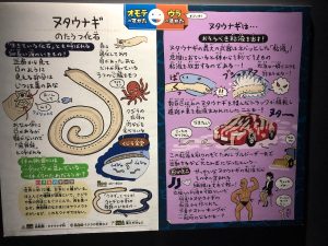 マリンワールド海の中道 ヌタウナギ