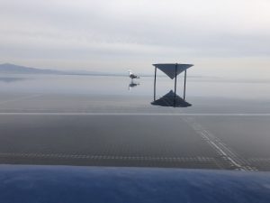 マリーンパレス水族館うみたまご かもめ