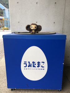 マリーンパレス水族館うみたまご 台